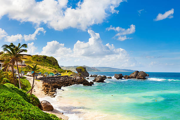 Turquoise water along Barbados’s rugged coastline