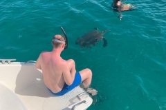 About to swim with the turtles
